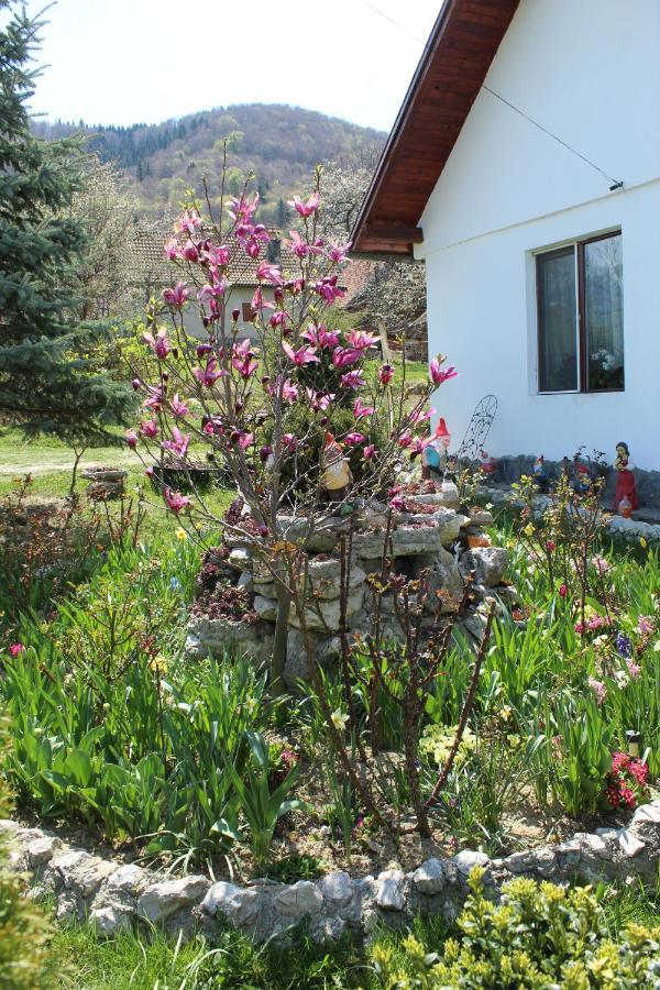 Casa Veverita Predelut Luaran gambar