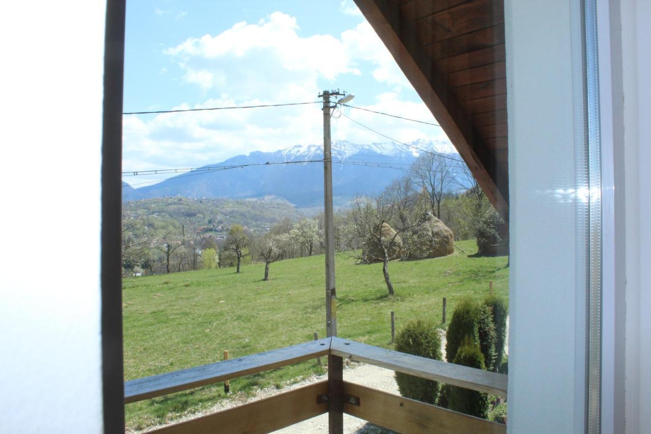 Casa Veverita Predelut Luaran gambar