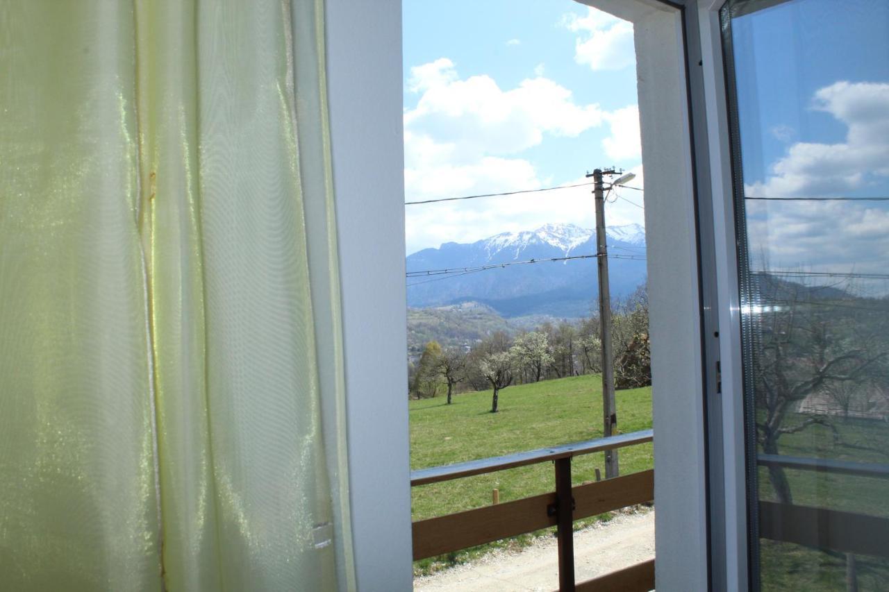 Casa Veverita Predelut Luaran gambar