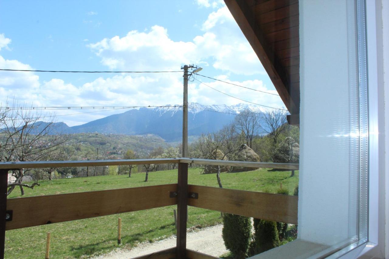 Casa Veverita Predelut Luaran gambar